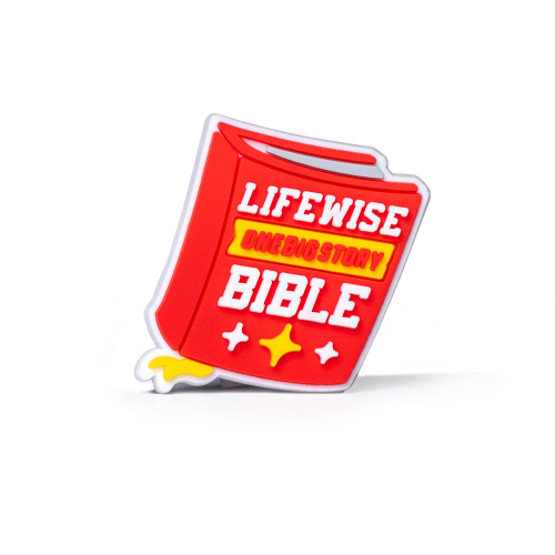 LifeWise Croc Jibbitz