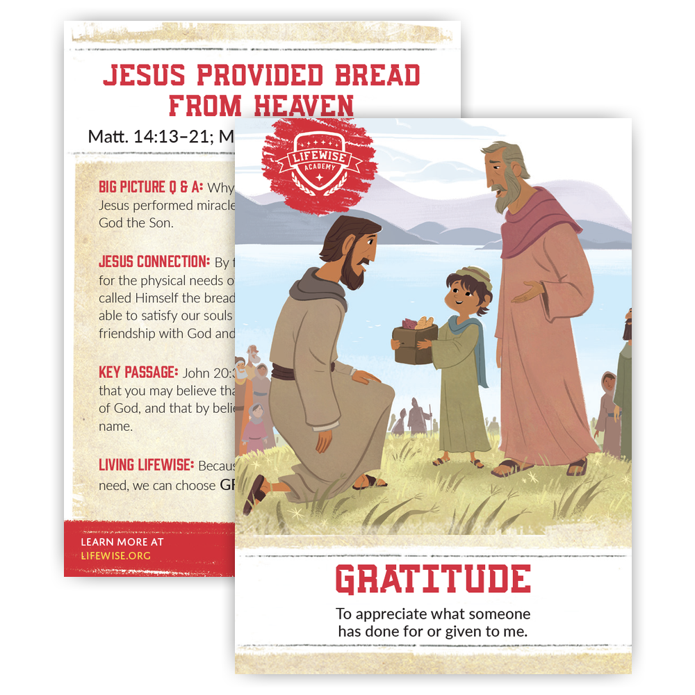 LWL 078 - Recap Card (Pack of 25) - Gratitude - Matthew-Mark-John