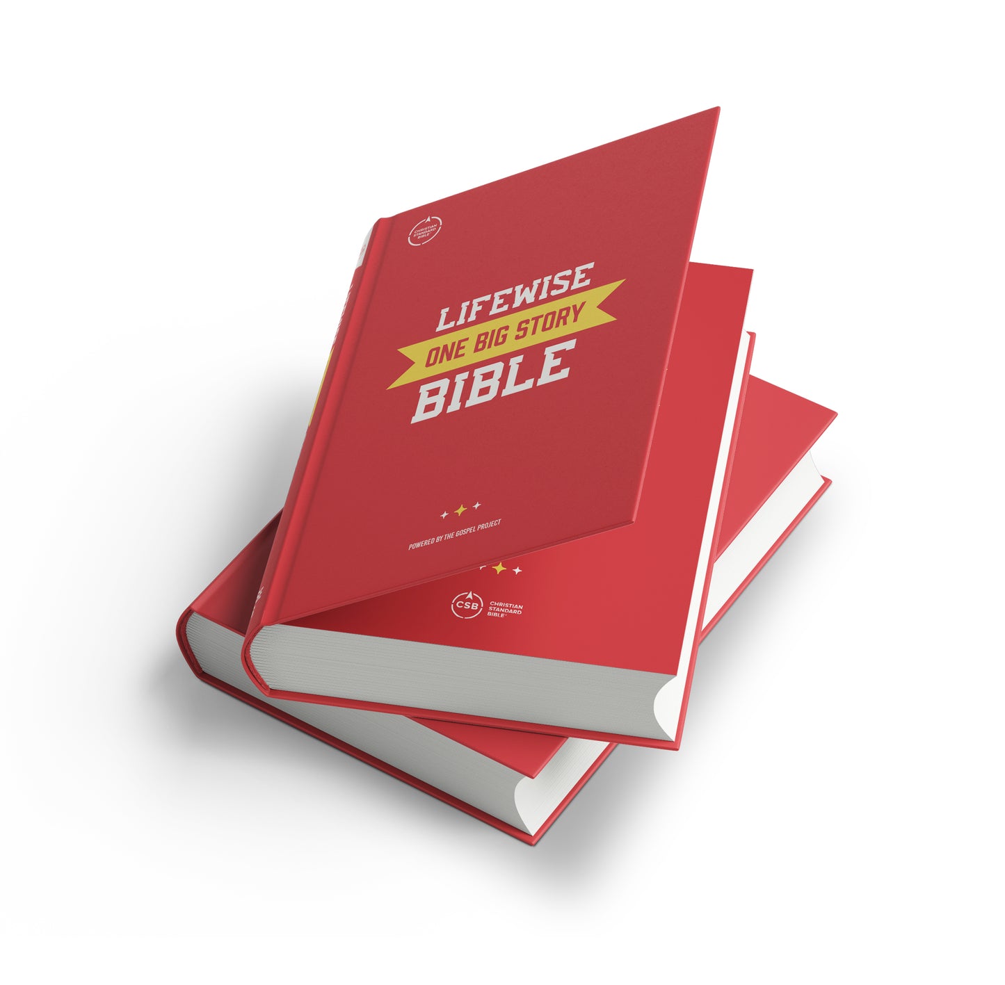 LifeWise Bible