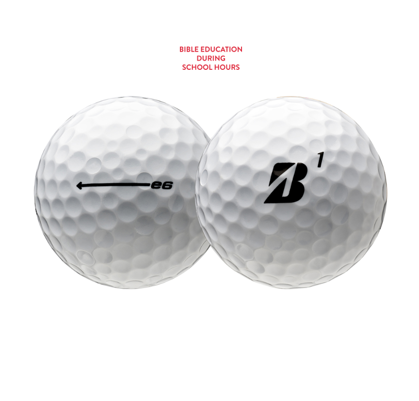 LifeWise Bridgestone e6 Golf Balls