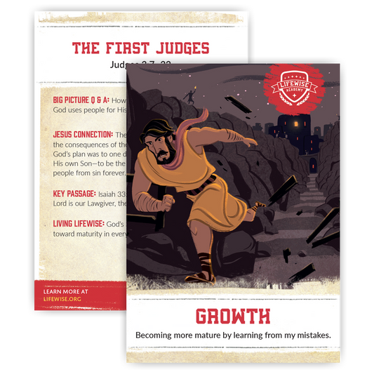 LWL 028 – Recap Card (Pack of 25) – Growth