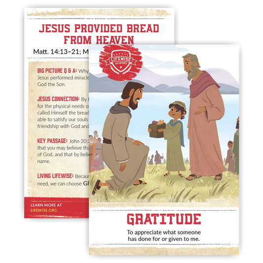 LWL 078 - Recap Card (Pack of 25) - Gratitude - Matthew-Mark-John