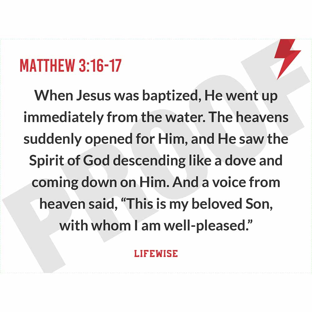 MS Key Verse Poster - MSL 044-047 (Matthew 3)
