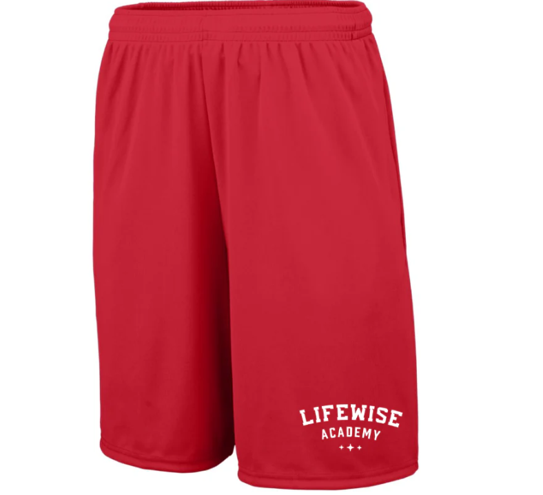 LifeWise Men's Training Shorts