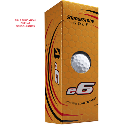 LifeWise Bridgestone e6 Golf Balls