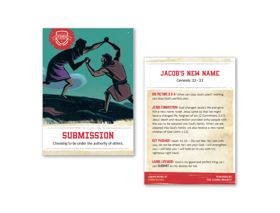 LWL 011 – Recap Card (Pack of 25) – Submission