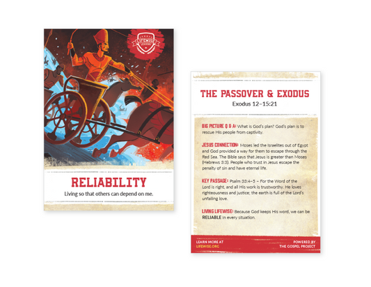 LWL 017 - Recap Card (Pack of 25) - Reliability - Exodus