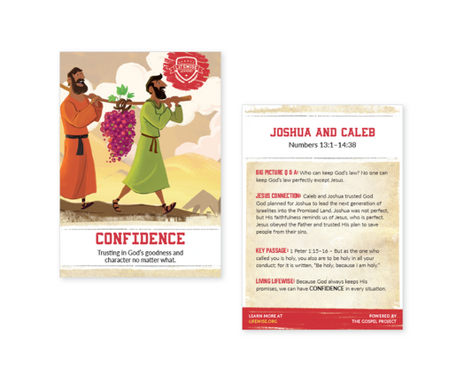 LWL 023 - Recap Card (Pack of 25) - Confidence - Numbers