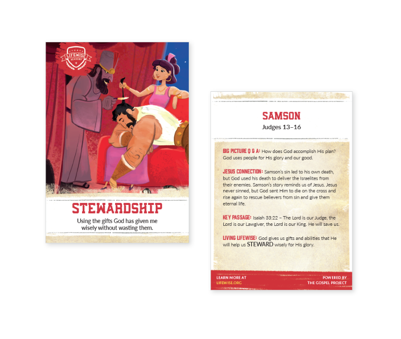 LWL 031 - Recap Card (Pack of 25) - Stewardship - Judges