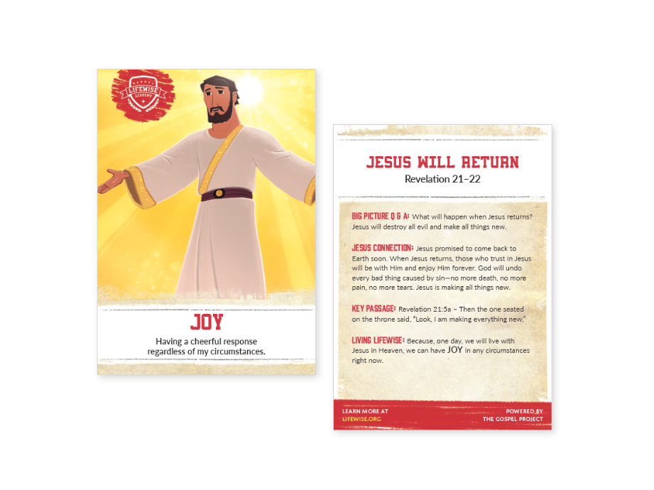 LWL 121 - Recap Card (Pack of 25) - Joy - Revelation