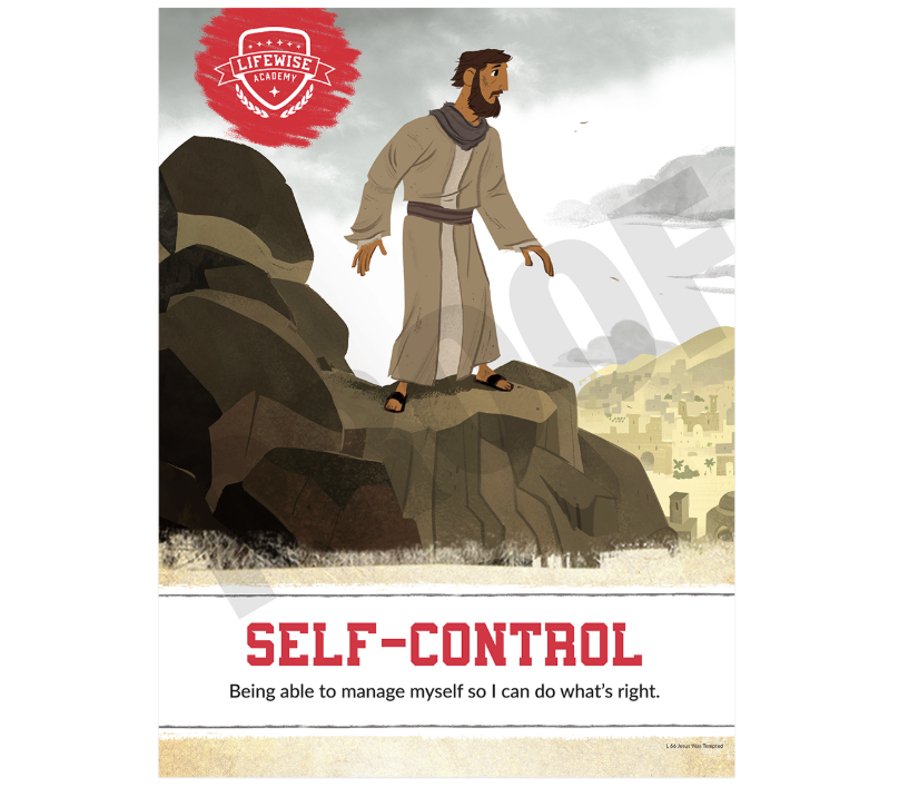LWL 066 - Character Quality Laminated Poster