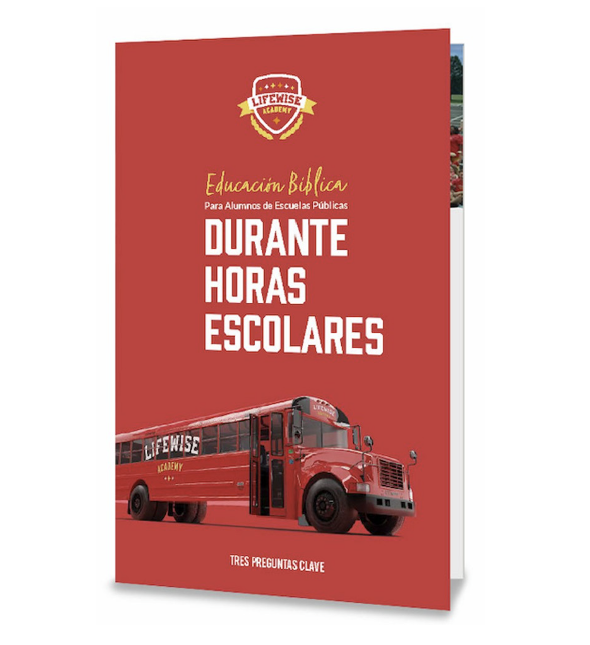 Three Key Questions Brochure - Spanish