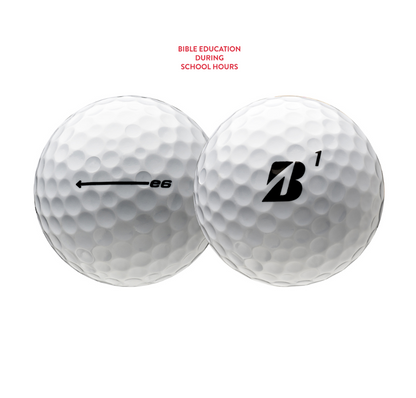 LifeWise Bridgestone e6 Golf Balls