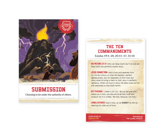 LWL 019 - Recap Card (Pack of 25) - Submission