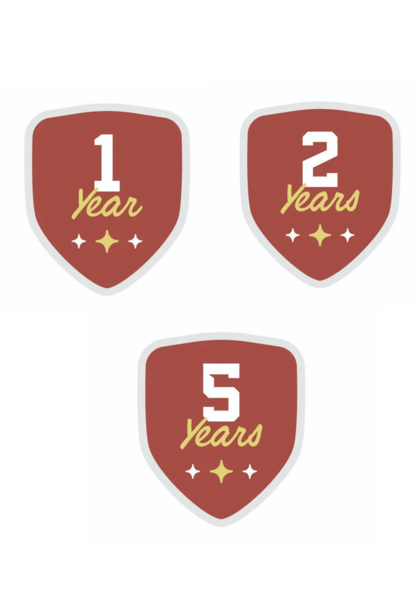 LifeWise Years of Service Pin