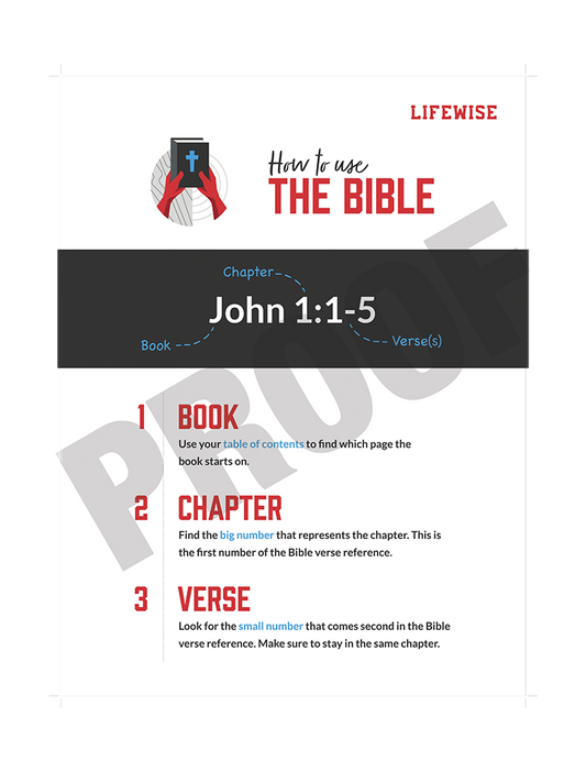 "How To Use The Bible" Poster