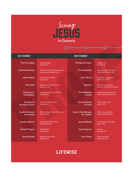 MS Laminated Poster 001 - (Genesis)