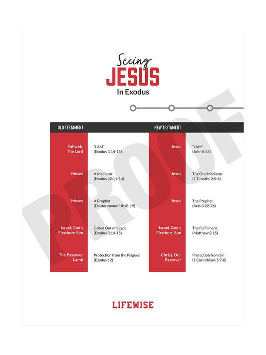 MS Laminated Poster 004 - (Exodus)