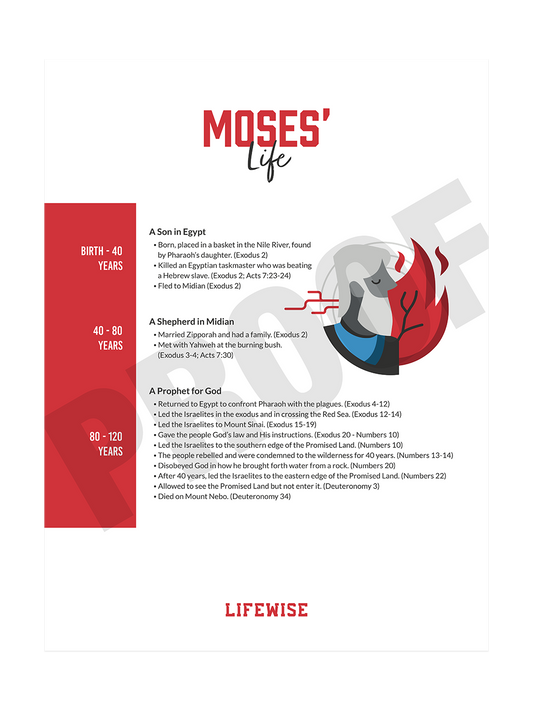 MS Laminated Poster 010 - (Moses)