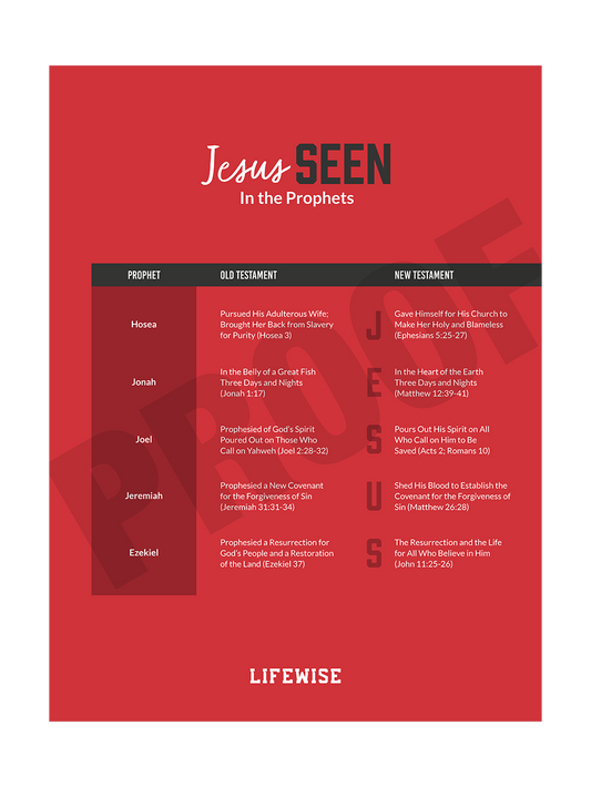 MS Laminated Poster 013 - (Prophets)