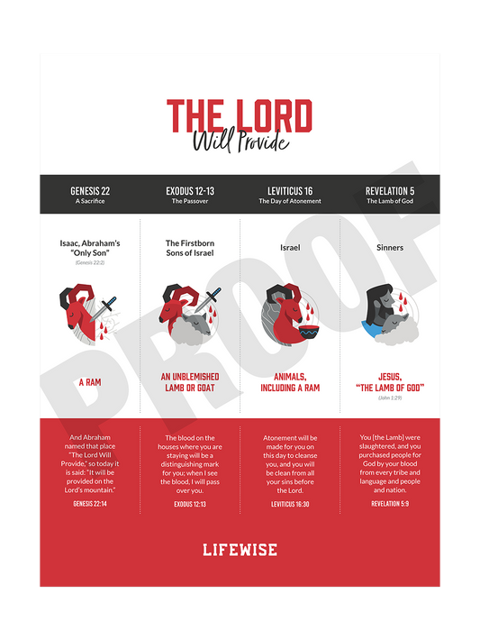 MS Laminated Poster 015 - (Lord Will Provide)