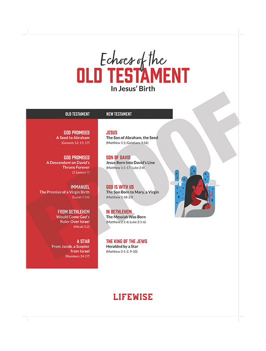 MS Laminated Poster 019 - (Jesus’ Birth)