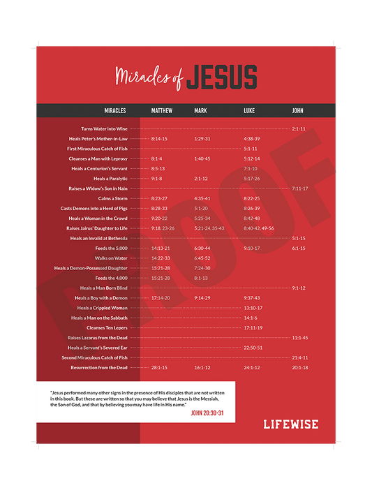 MS Laminated Poster 024 - (Miracles of Jesus)