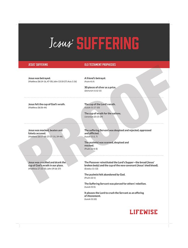 MS Laminated Poster 028 - (Jesus' Suffering)