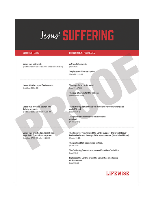 MS Laminated Poster 028 - (Jesus' Suffering)